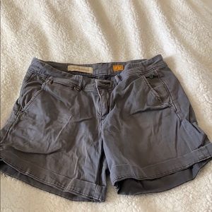 Anthropology shorts